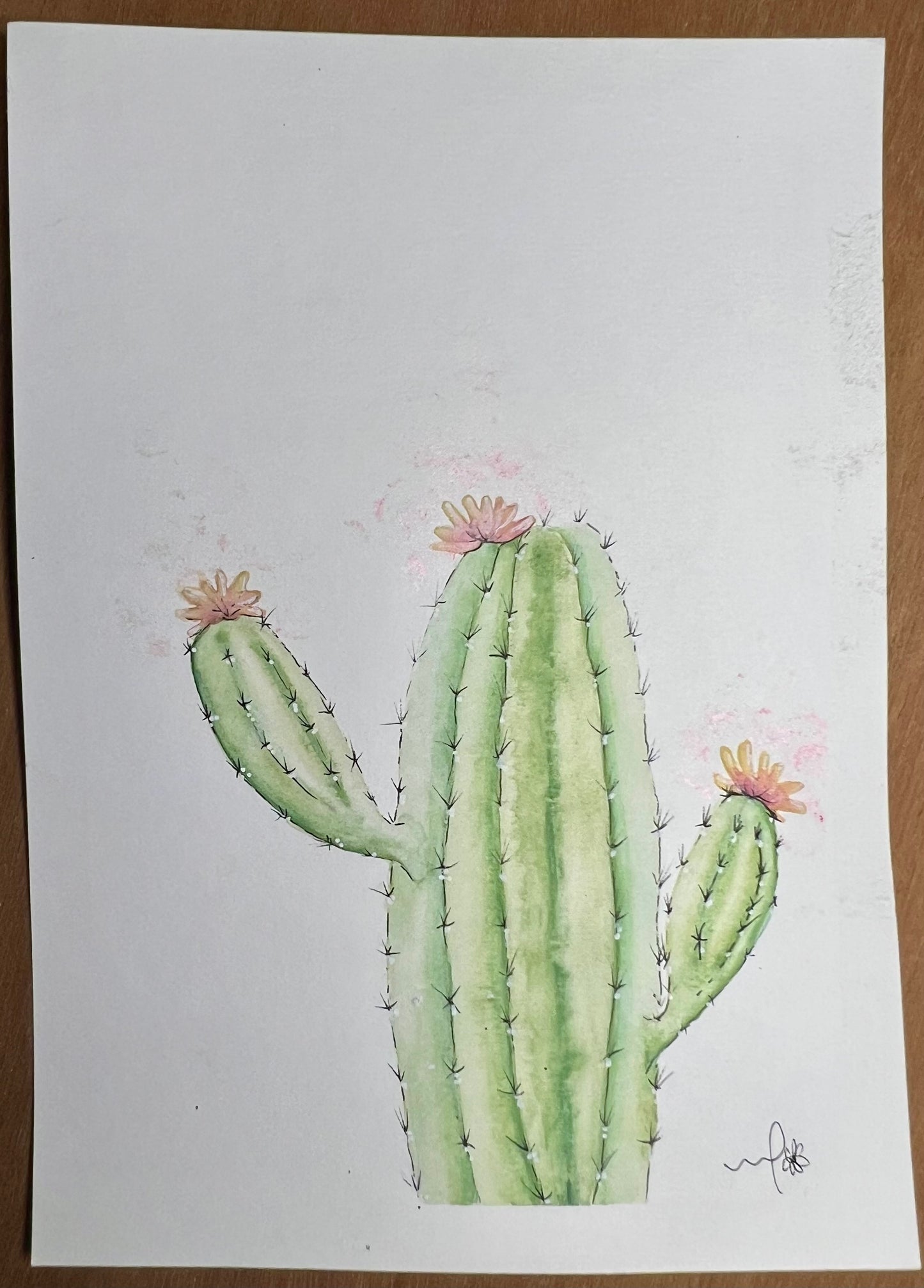 Cactus - aquarelle 4x6