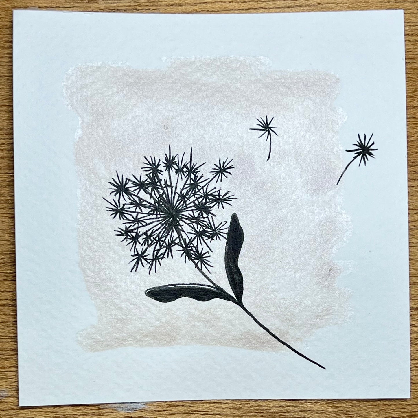 Petites fleurs