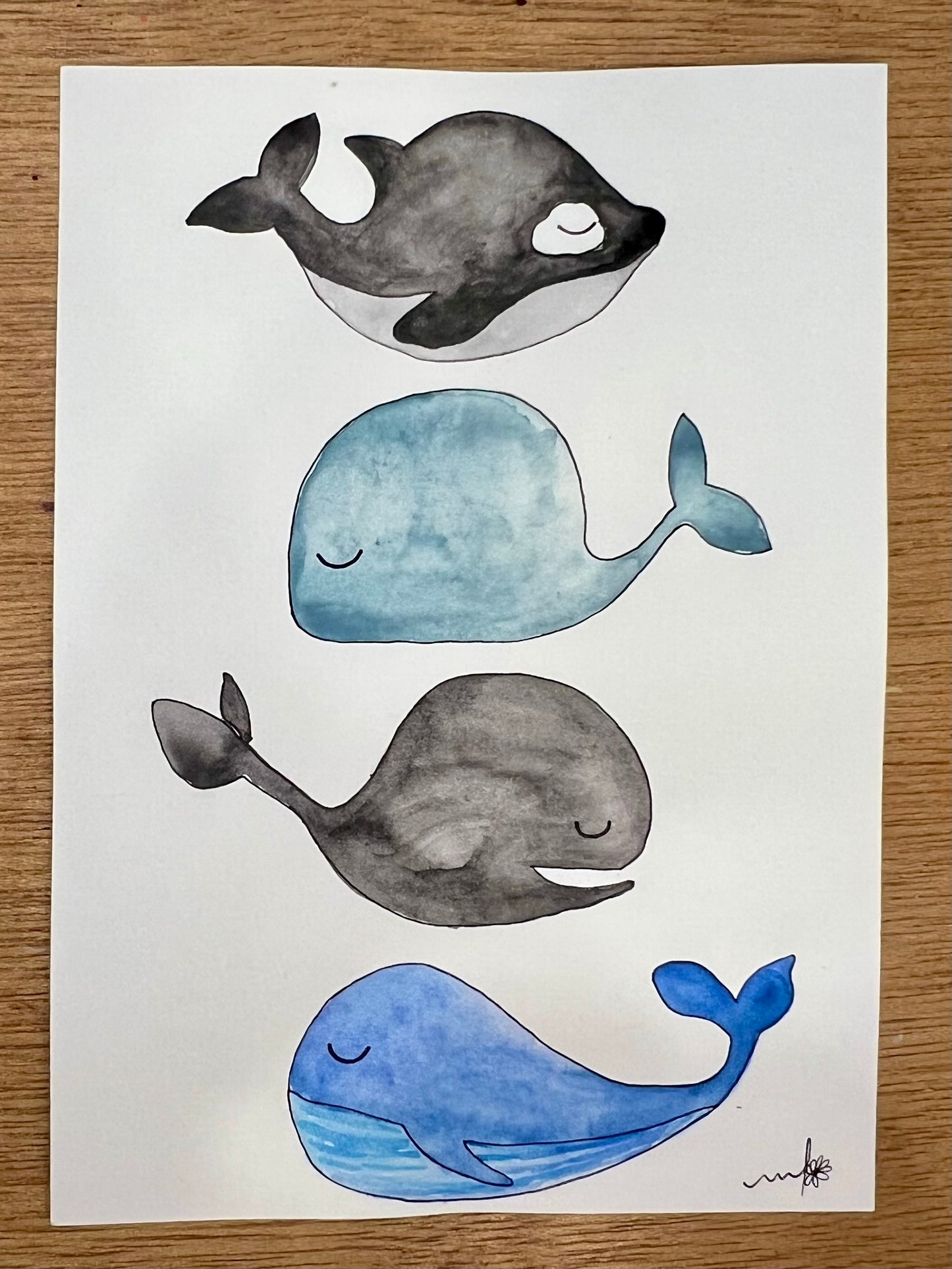 Baleines paisibles