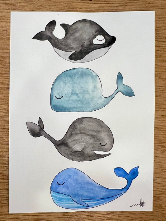 Baleines paisibles