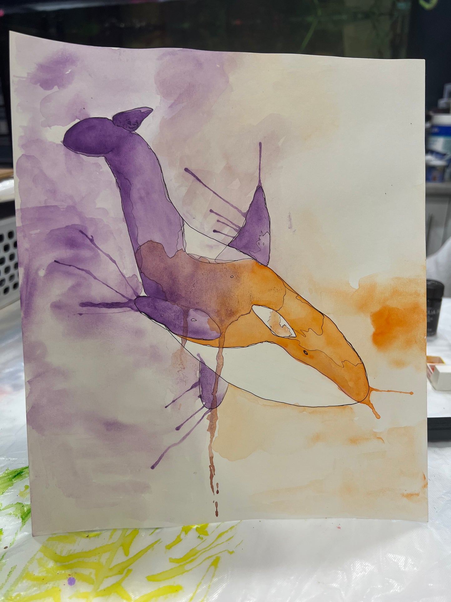 Dreaming orca